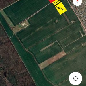 Teren langa Padure-Buftea oportunitate de investitie