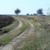 Movilita 13,7 ha intravilan!